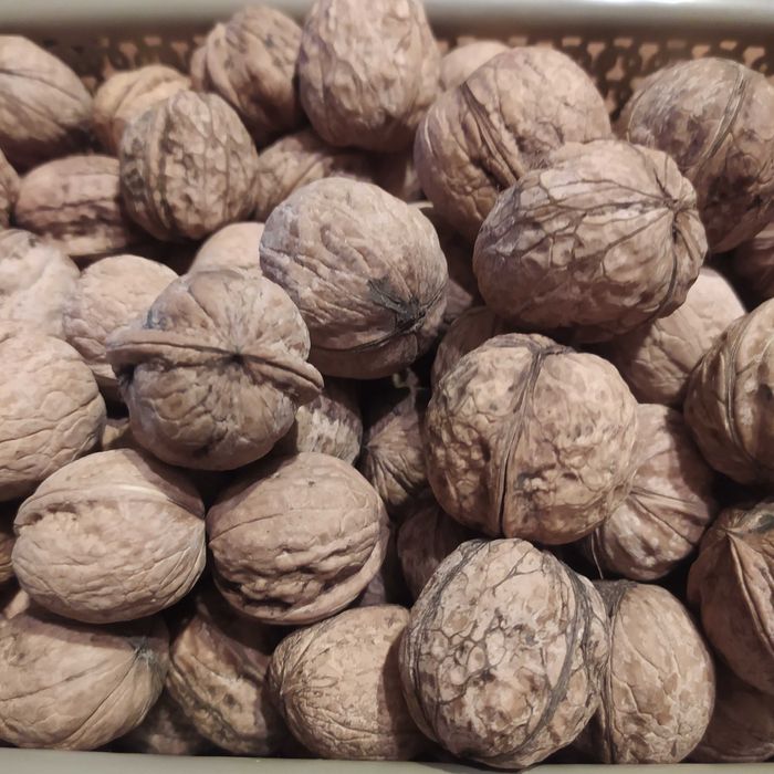 Продам грецкие супер орехи