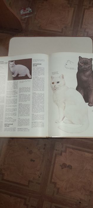 Продам книгу по уходу за кошкой.