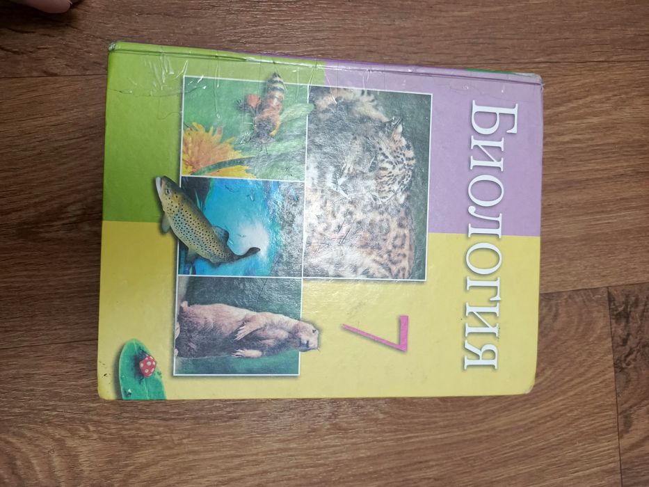 Учебники за 3000 тенге