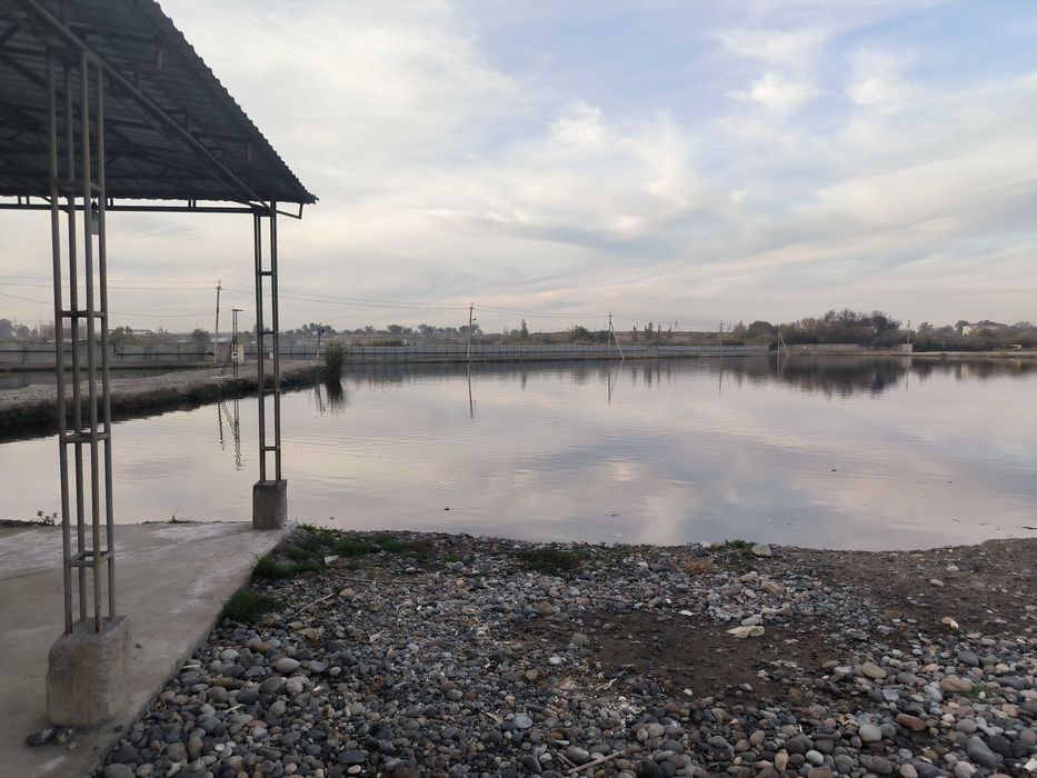 Sotiladi noturar 7.2 GA Yangiyol Продается нежилая недвижимость 7 ГА.