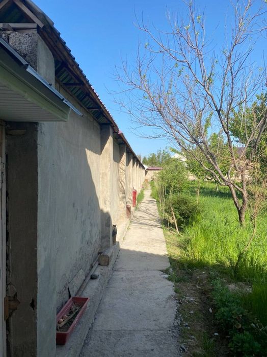 Hovli sotiladi prodayotsa uchastok
