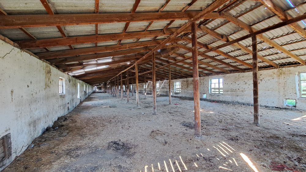 Muzrabot Tumanida 5 Gektarli Tovuq ferma  Sotiladi Tel qilasizlar