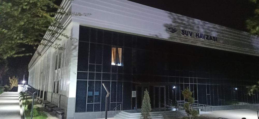 Катталар ва болалар учун сузиш машгулоти