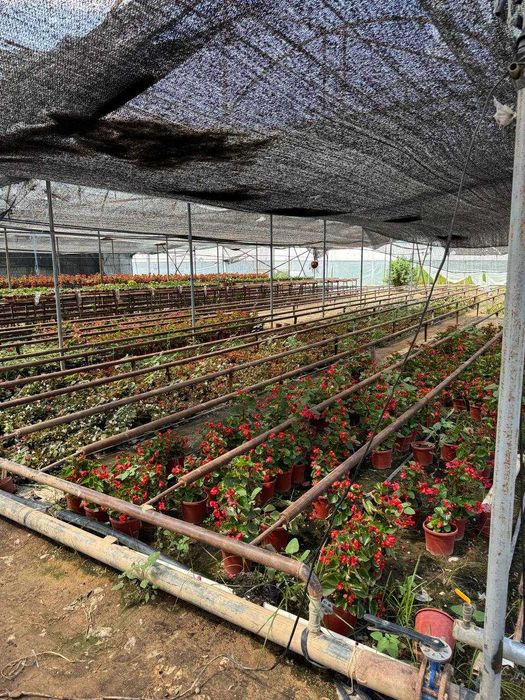 Иссикхона сотилади