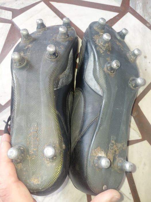 Бутони в много добро състояние