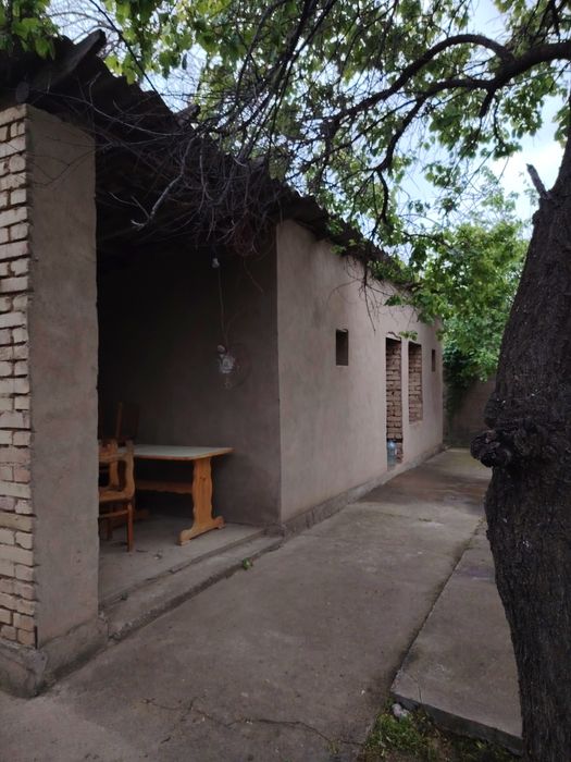 Dacha chirchiq daryo