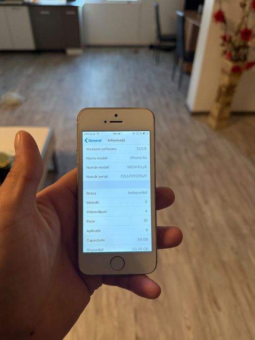 iPhone 5s Gold Functional