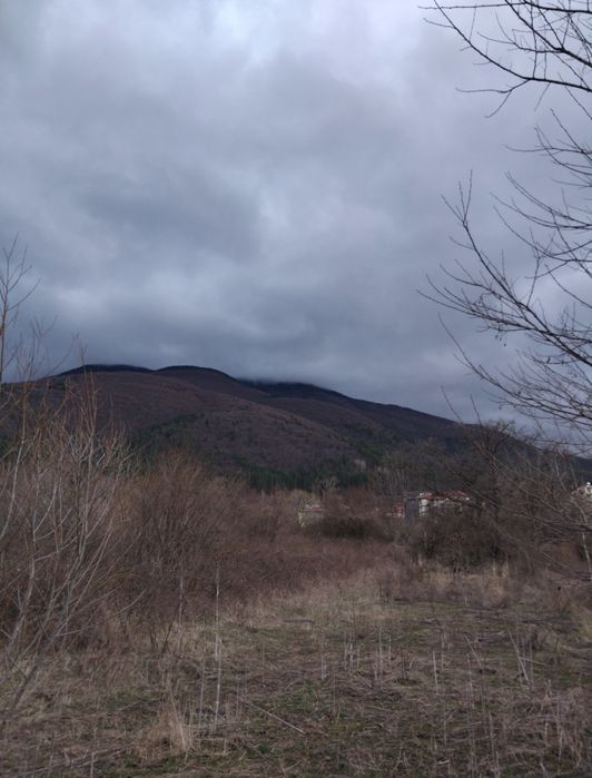 Продава се Парцел в Сапарева баня - 800 кв.м за 38 €/кв.м - Снимка #3