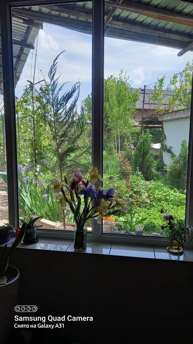 Дом 8 соток парк победы