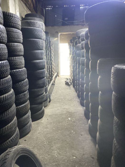 Шиналар бар бу жана