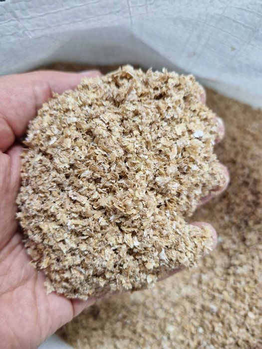 TARATA DE GRAU fainoasa / normala- la nivel de tir