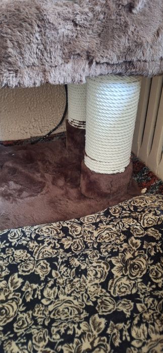 Многоэтажный дом для кошек