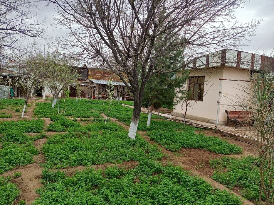 Срочно продаётся дача