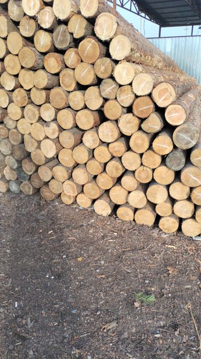 Доски Пиломатериалы оптом