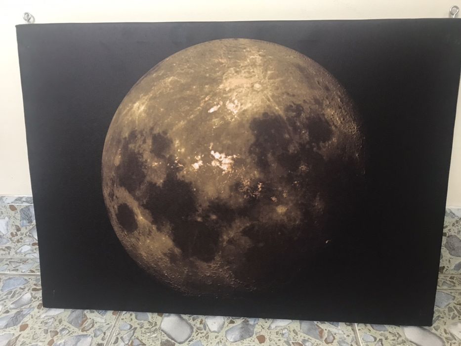 Tablouri canvas 40 cm x 55 cm; 3 buc.