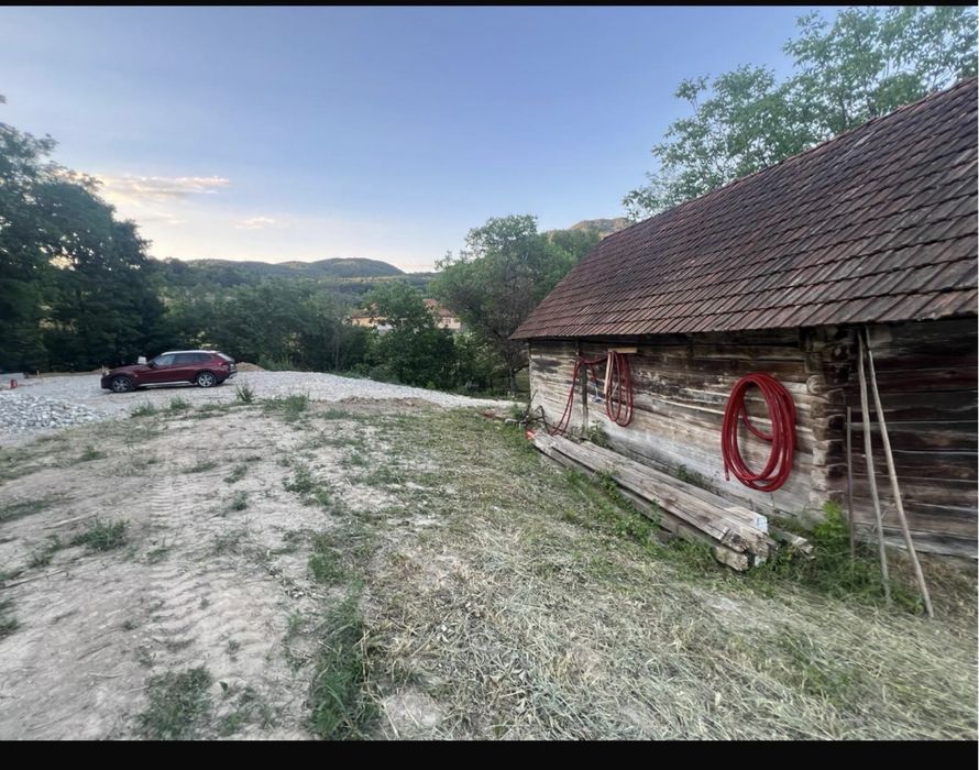 Proprietate deosebita in muntii apuseni