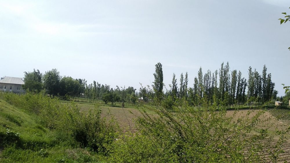 Ohongaronda shaharga yaqin joyda ajoyib yer sotiladi kelishimiz narxin