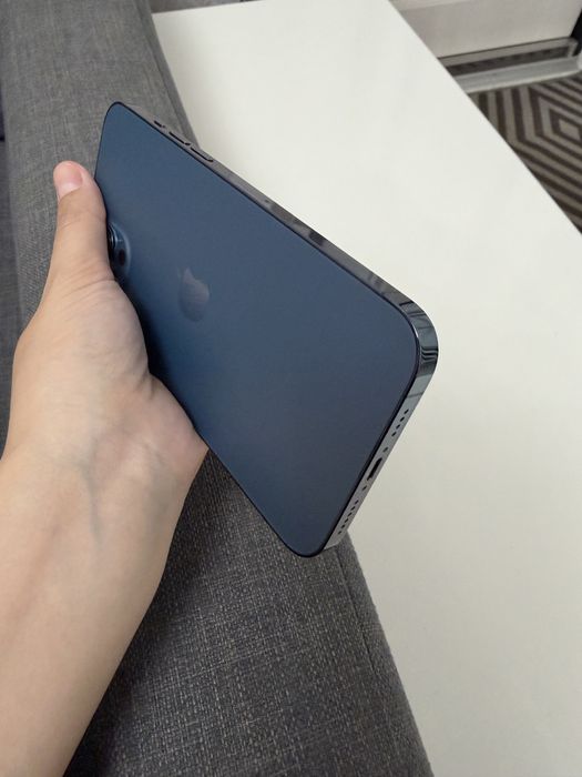 iphone 12 pro max 256