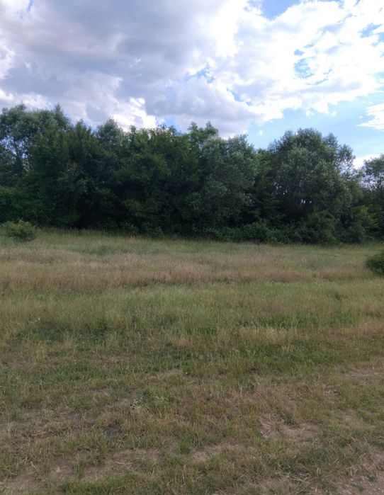 Продава земя в с.Червен брег общ.Дупница