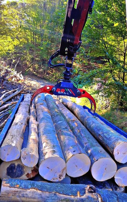 Lemn foc fag Transport