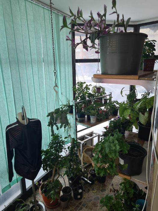 Apartament Orăștie