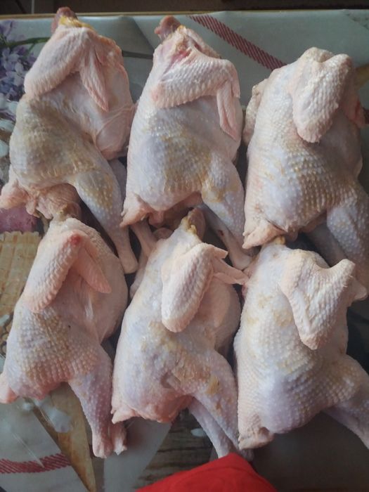 Продам мясо кур.