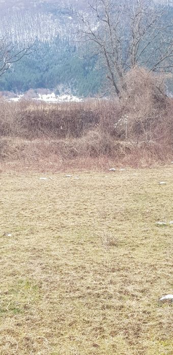 Продава имот в гр.Сапарева баня