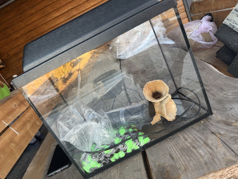 Аквариум с фильтром.