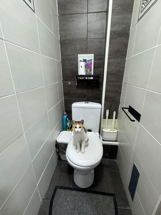 Продам квартиру 2 х ком.