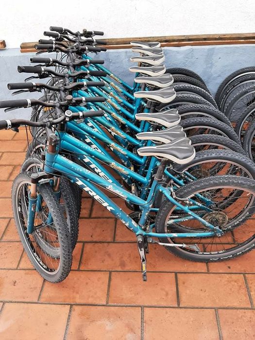 Biciclete Trek femei