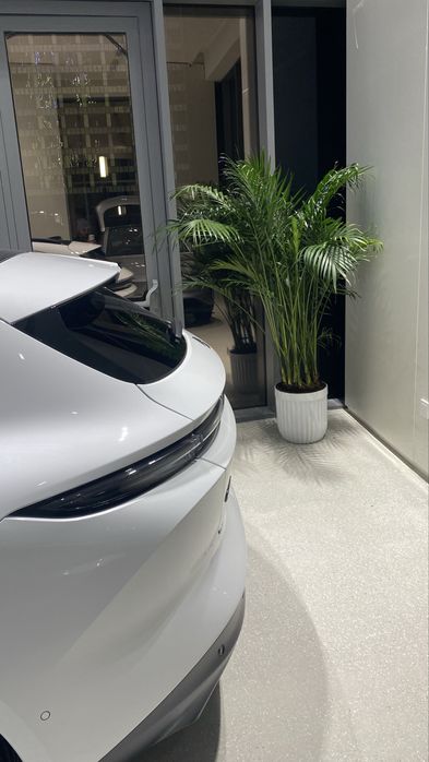 Офис учун гуллар, Цветы, Цветы для офиса, Офисные растения