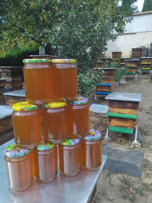 Пчелен  Билков  Мед