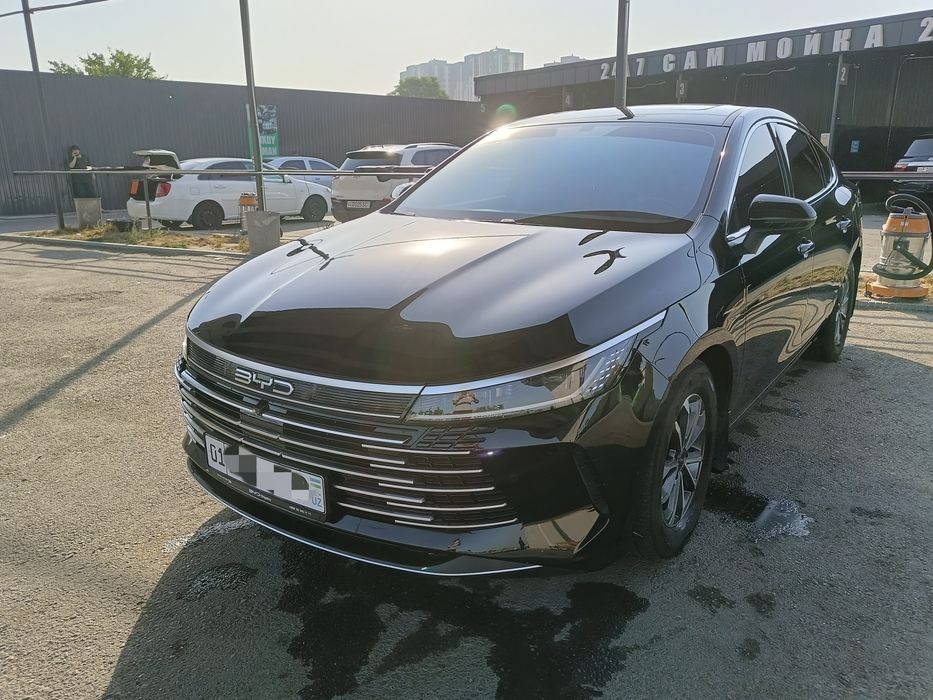 BYD Chazor 2024 люкли