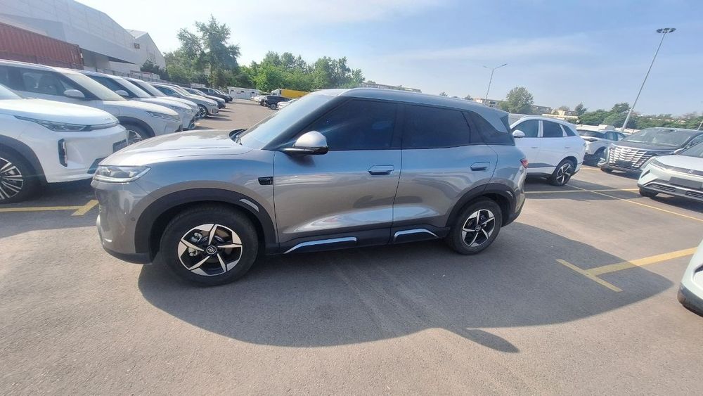 Other Yuan Up 2025 — 4