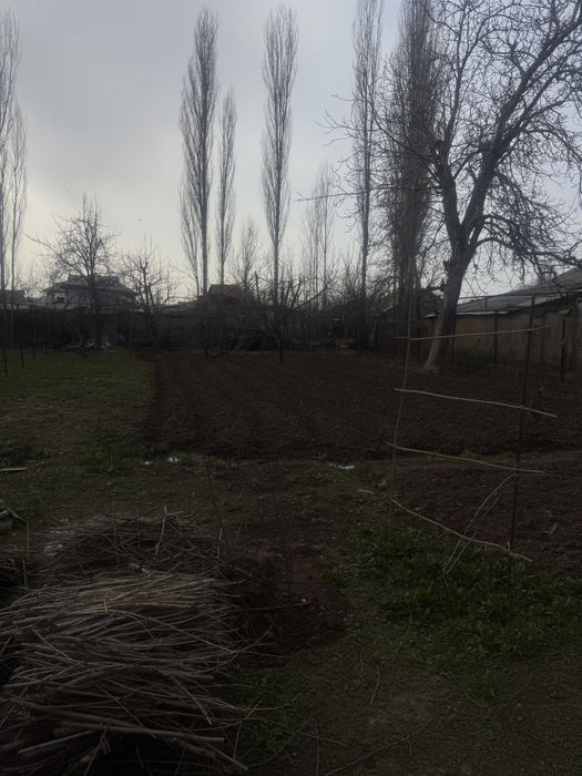 Срочно продается земля в ташкентской области