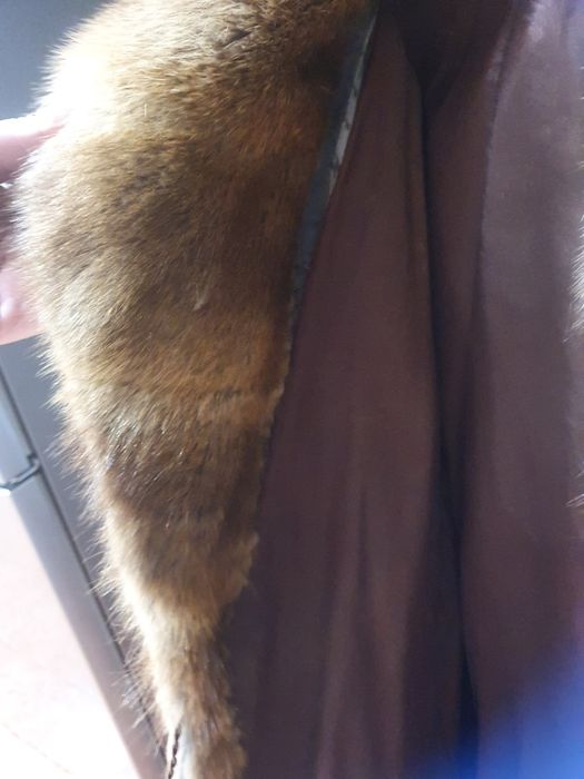 Blana naturala bizami