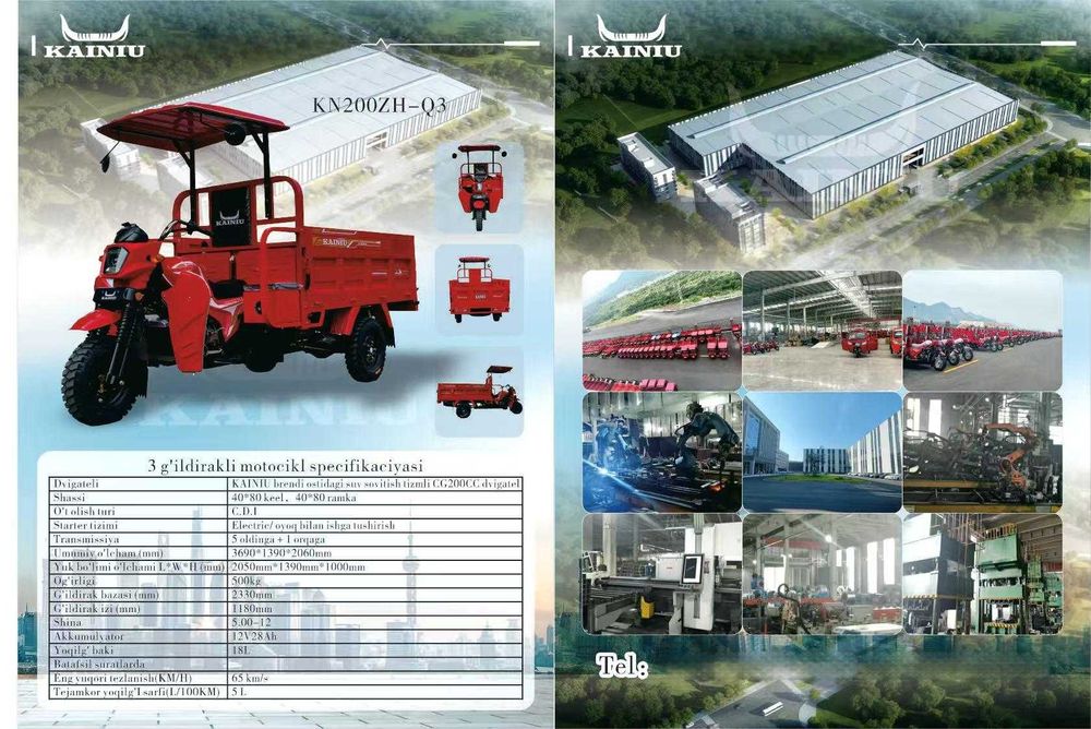 KAINIU 200CC Motosiklar, Samasval
