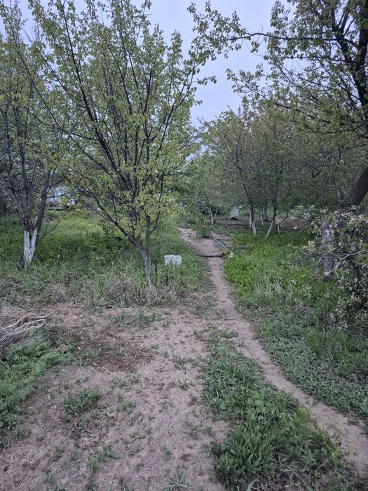 Продаётся дачный участок