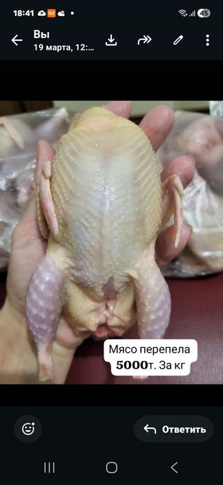 Продам Мясо перепела