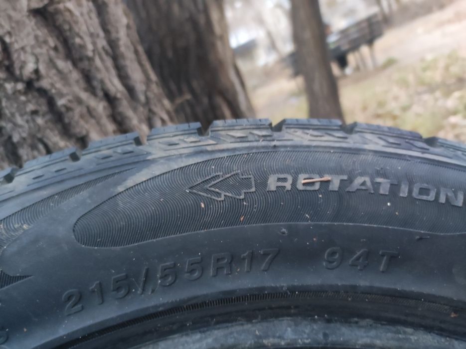 Автошины шипованные 215/55/17