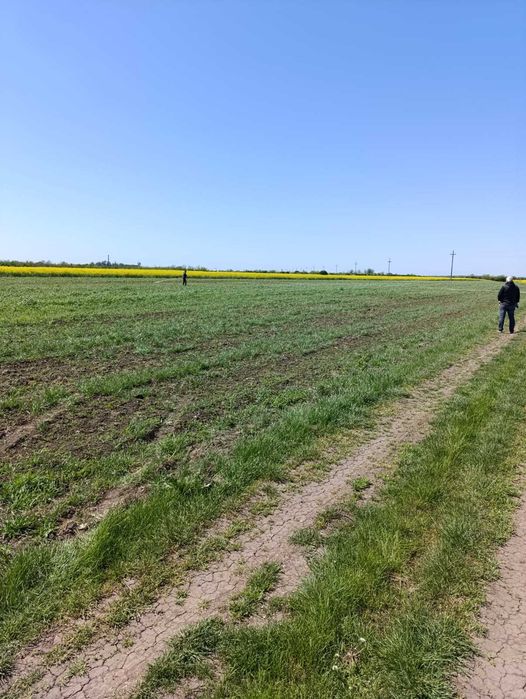 Teren intravilan în Giurgiu