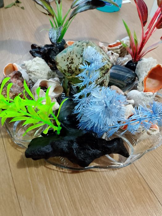 Дъно за аквариум