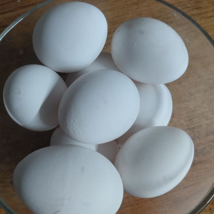 Продам домашние куриные яйца. Цена 800 тенге за десяток.