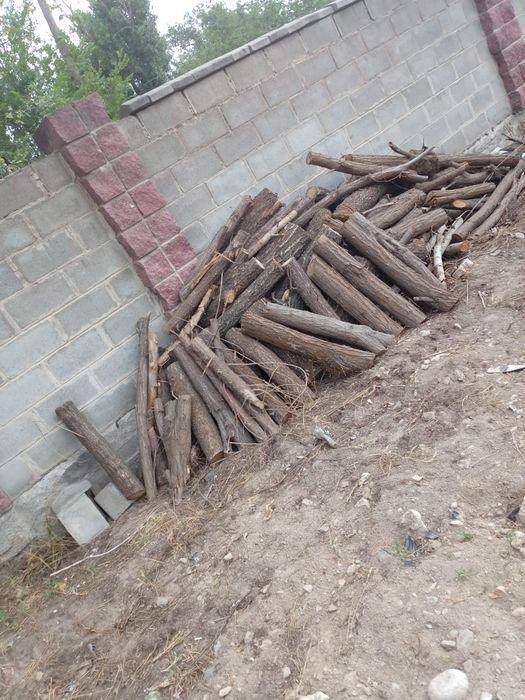 Продам дрова сухие