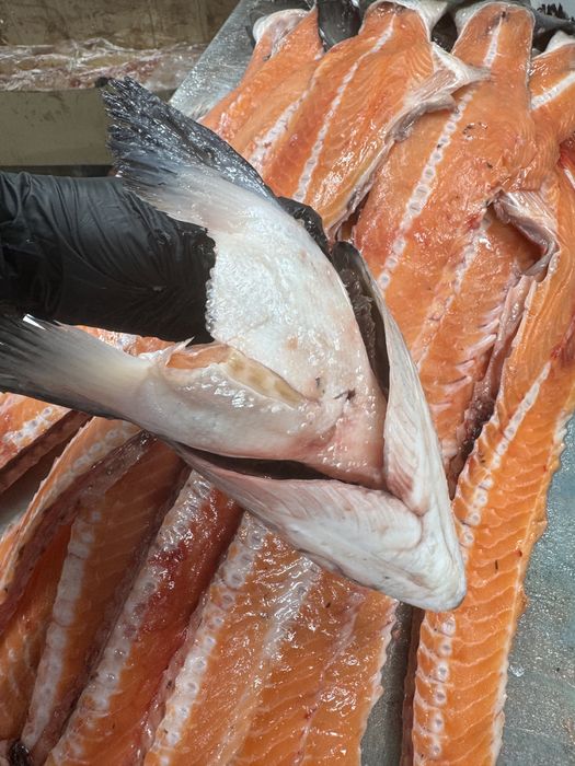 Головы Семги 200 тг, РЫБА