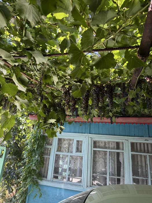 Дача в Талгаре, пос Ават, Кайназар