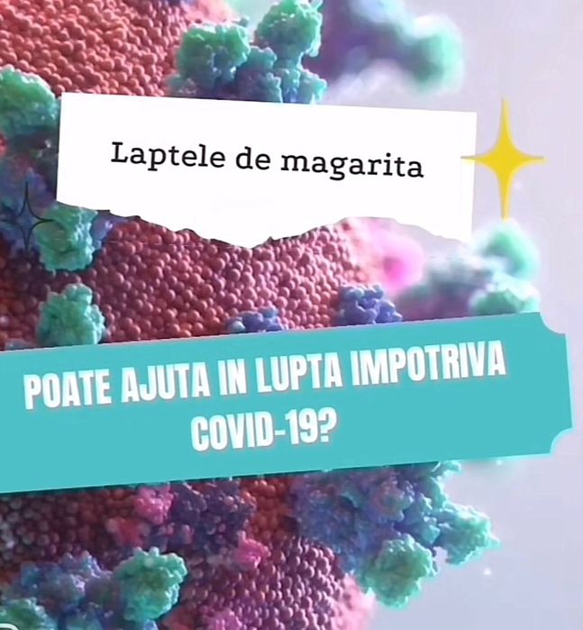 Lapte de măgăriță 100% natural Ferma proprie in Comuna Mastacani