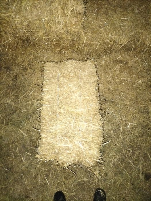 Vând baloți de paie și  lucernă!