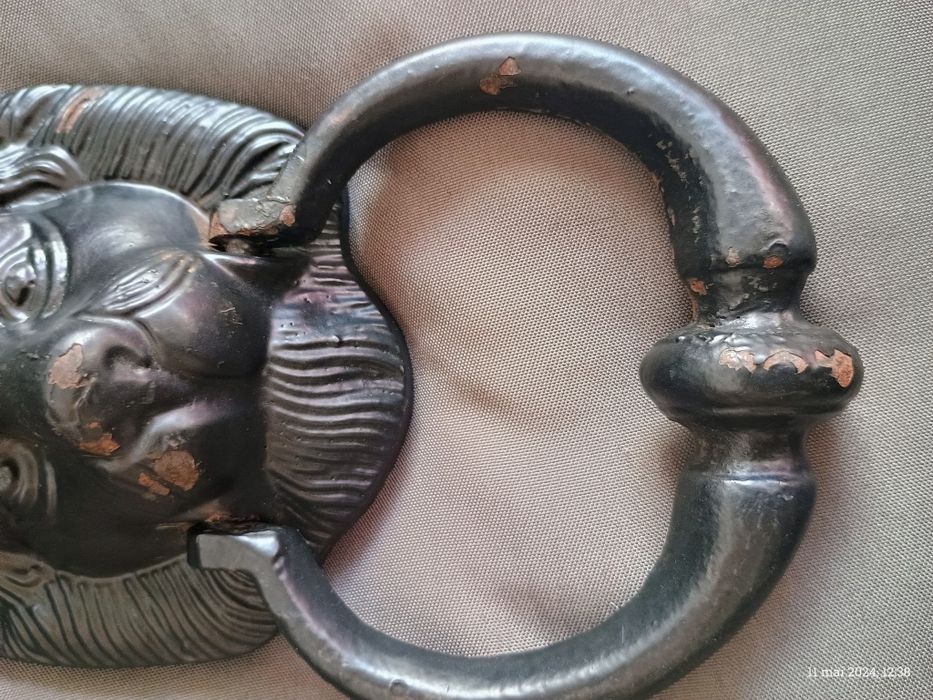 Ciocănitoar de usa.