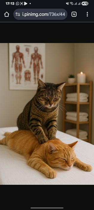 Массаж оздоровительный